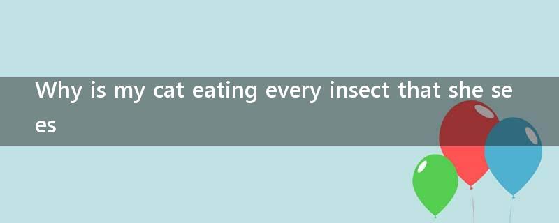 Why is my cat eating every insect that she sees?